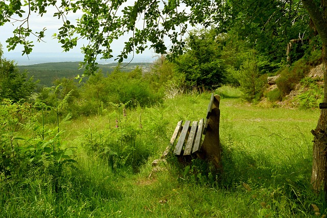 而部分与美 而部分与美